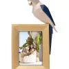 Deko & Geschenkartikel|KARE Design Bilderrahmen Origami Parrot 10X15Cm