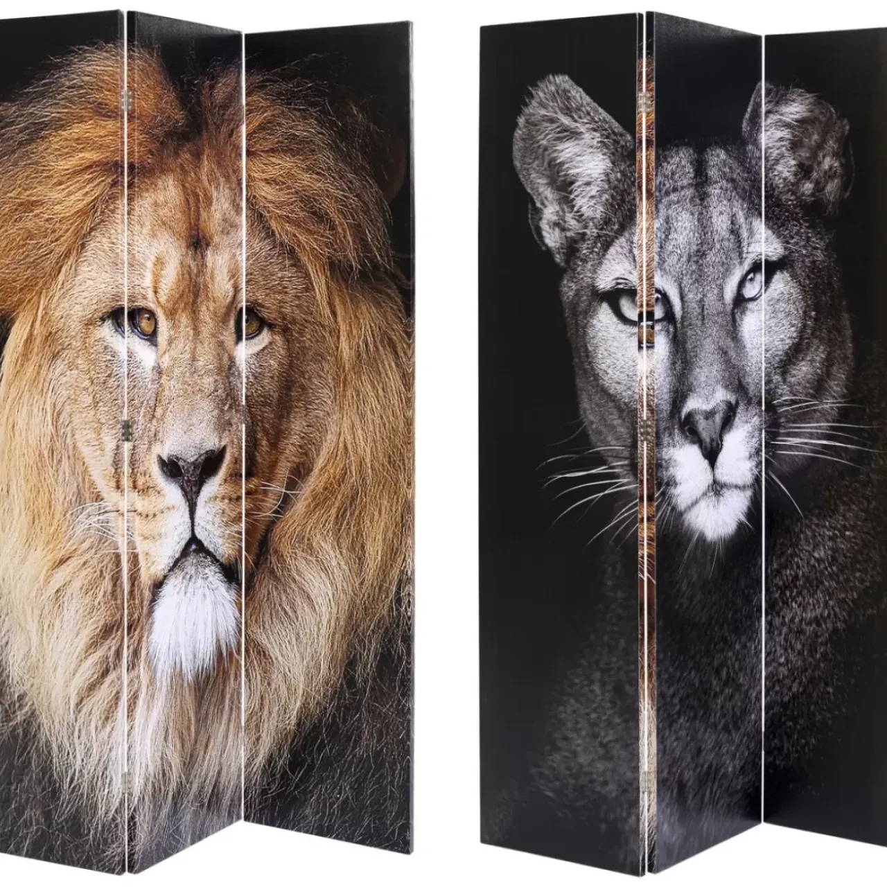 Paravents|KARE Design Paravent King Lion Vs Cat Girl 120X180Cm