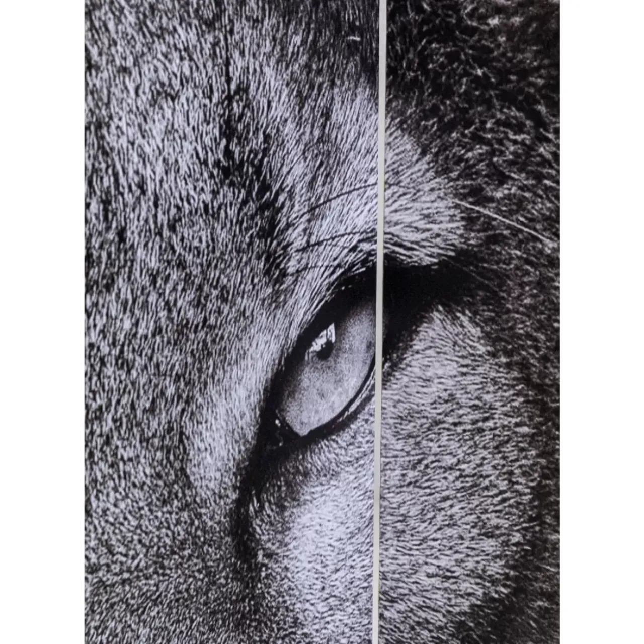 Paravents|KARE Design Paravent King Lion Vs Cat Girl 120X180Cm