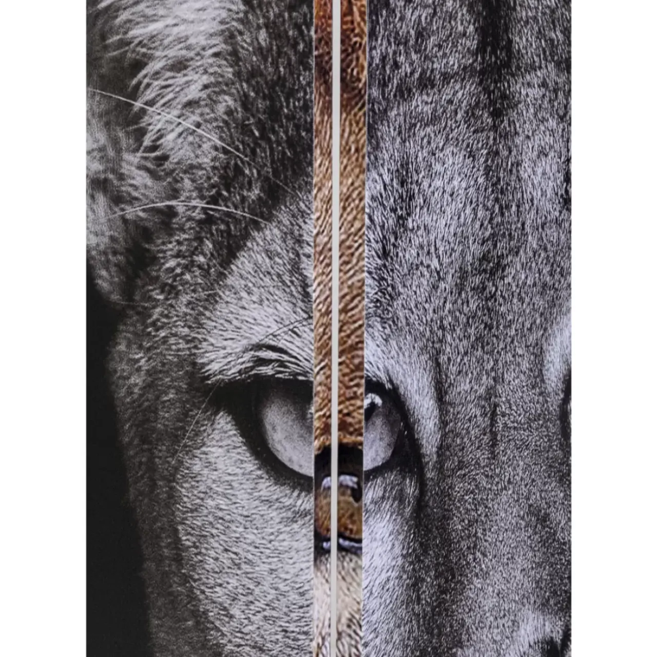Paravents|KARE Design Paravent King Lion Vs Cat Girl 120X180Cm