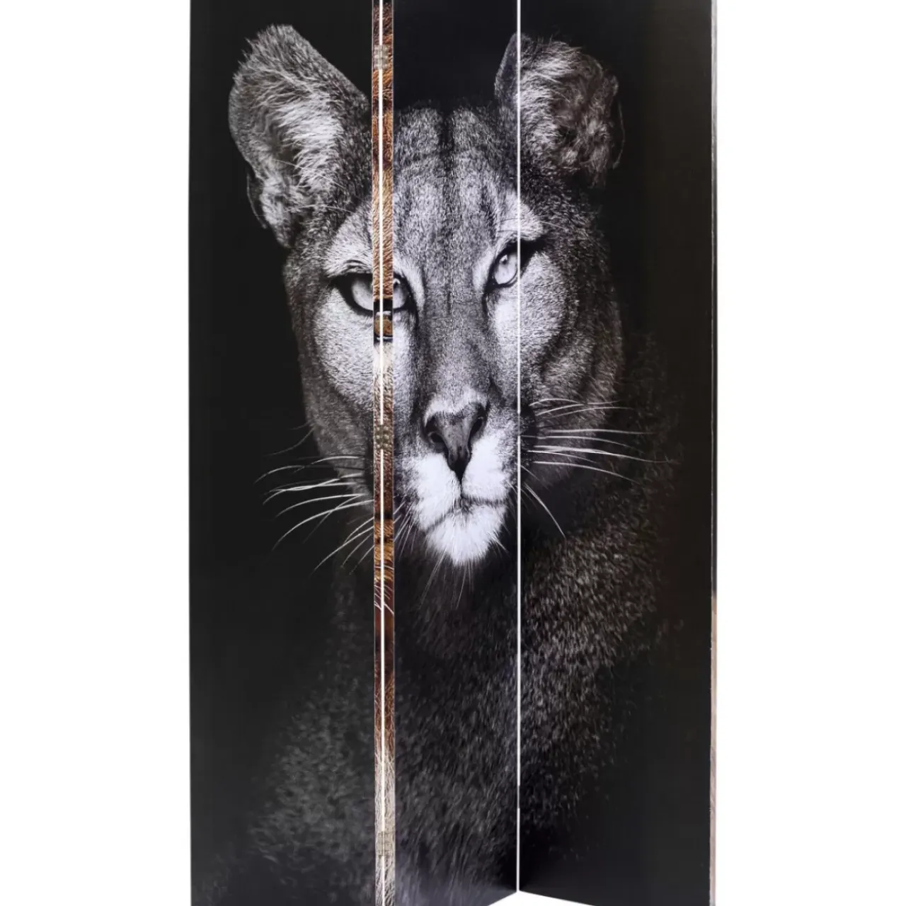 Paravents|KARE Design Paravent King Lion Vs Cat Girl 120X180Cm
