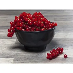Geschirr & Tischaccessoires|KARE Design Schale Organic Black O15Cm