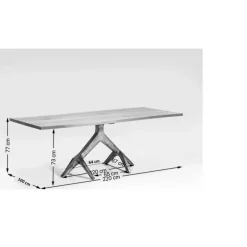 Tische|KARE Design Tisch Roots Dark 220X100Cm