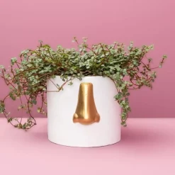 Sonstiges & Zubehör Accessoires|KARE Design Ubertopf Nase Weiss/Gold